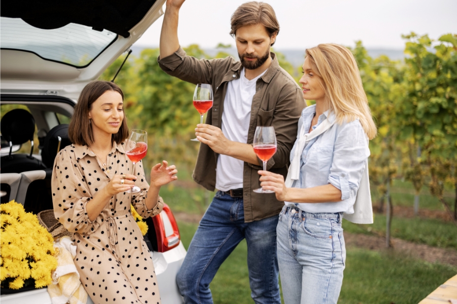 Driving the Little Carpathian Wine Route From Bratislava