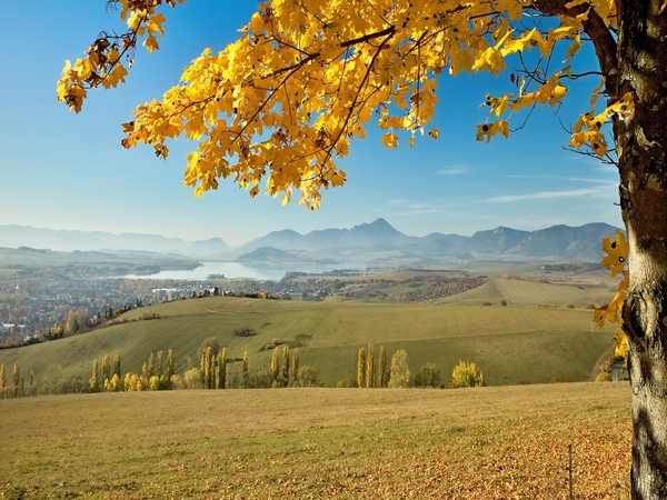 A Road Trip Guide to Liptovsky Mikulas for First-Time Visitors