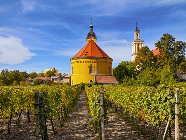 Driving the Little Carpathian Wine Route From Bratislava